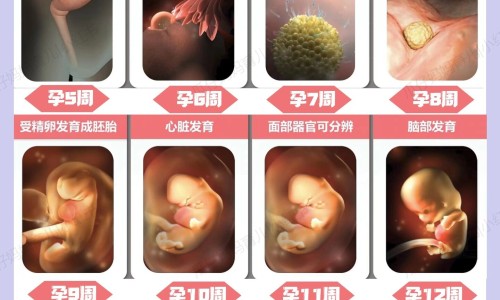 确美同和水宝宝的区别网 - 为你提供确美同水宝宝清润防晒乳、确美同哪个好用